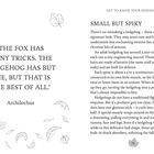 ‘THE FOX HAS MANY TRICKS. THE HEDGEHOG HAS BUT ONE, BUT THAT IS THE BEST OF ALL.’ Archilochus.

Text über Igel: Spikes als Schutz, rollen sich bei Gefahr zu Kugeln. Illustrationen von Blättern.