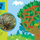 "BRANCHES OF SCIENCE" oben links, viele Wissenschaftsarten sind als Baumzweige dargestellt. Texterklärung links.