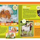"Guinea Pig Gets Glam", "Swan Loves Paddleboat", "Dog Rides Pony". Ein Meerschweinchen mit Brille, ein Schwan und ein Hund reiten Pony.