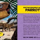 Psittacosaurus hatte einen Papageienschnabel. Paleontologists learn about dinosaurs by DIGGING up BONES, TEETH, and FOOTPRINTS.