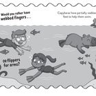 Texte: "Would you rather have webbed fingers... or flippers for arms?" und "Capybaras have partially-webbed feet to help them swim." Illustration: Kinder schwimmen mit Fischen, Capybara taucht, Frosch schaut verwundert.