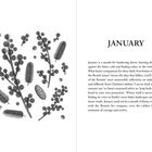 Links oben "JANUARY". Links florales Muster mit Zweigen und Blättern, rechts Text über Januar und die Brontë-Schwestern.