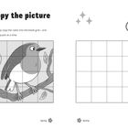 „Copy the picture“: Zeichne das Rotkehlchen Quadrat für Quadrat. Links ein Raster des Vogels auf einem Ast, rechts leeres Raster.