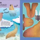 Logo mit Steckbrief, Walross-Illustration im Wasser, weitere Walrosse auf Eis, Geräusche "Grunz!" und "Pfeif!".