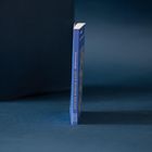 Buchrücken mit Texten "A century in... ALICE DUNBAR NELSON". Blaues Cover vor blauem Hintergrund.