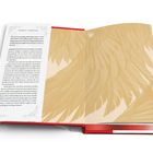 Text beschreibt eine kämpferische Fantasy-Geschichte. Rote Buchbindung, Innenseite zeigt goldene Flügel-Illustration.