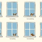 „I am waiting.“ „I am scratching.“ Ein Hund erscheint abwechselnd an einem Fenster und zeigt verschiedene Aktivitäten.