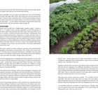 Text oben links: "Rotation"
Unten rechts: "No rotation trial, eleventh year of potatoes..."
Rechts ein Gemüsebeet mit verschiedenen Pflanzen.