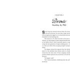 "Chapter 1, Bronte, December 28, 1920." Text über eine stürmische Bootsreise und eine Begegnung, beschreibt Kleidung und Umgebung.