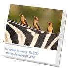 Samstag, 30. Januar 2027, Sonntag, 31. Januar 2027. Drei Vögel (Red-billed Oxpeckers) auf einem Zebrarücken.