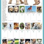 FEBRUARY. “All you need is love and a puppy.” Kalenderbild zeigt einen Welpen, der von einem anderen spielerisch gebissen wird.
