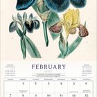 "FEBRUARY 2027" steht über einem Kalenderblatt illustriert mit blauen, schwarzen und gelben Irisblüten.