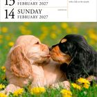 13 Samstag, 14 Sonntag, Februar 2027. Valentinstag. Zwei spielende Hundewelpen im Gras mit gelben Blumen.