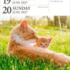 19. Samstag, 20. Sonntag, Juni 2027. Zitat: "In search of my mother's garden, I found my own." Zwei Katzen im Gras.