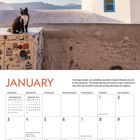Der Januar-Kalender zeigt eine Katze und eine Kirche mit blauer Kuppel in Santorini.