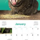 "DECEMBER 2026", "January", Kalender mit Katze, die Zunge herausstreckt und vor Katzenminze liegt.