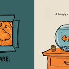 „SQUARE.“ Eine orange Katze in einem Karton. Rechts: „A hungry cat can be a...“ Graue Katze beobachtet Fischglas.