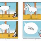 Illustration: Ein Pferd seufzt "SIGH" neben einem Waschbären, der ein Buch liest. Der Waschbär seufzt schließlich laut.