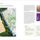 "Light Sources" beschreibt die Wahl zwischen Sonnenlicht und UV-Lampe für Belichtung, mit Vor- und Nachteilen und UV-Index-Erklärung.