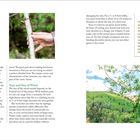 Linke Seite: "Determining What Type of Wood You Need". Rechte Seite: Ratschläge zum verantwortungsvollen Schneiden. Zwei Fotos von Bäumen.