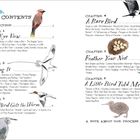 Inhaltsverzeichnis einer Vogelbuchillustration mit Kapiteln wie "Bird's-Eye View", "Winging It" und "Feather Your Nest".