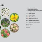 Inhaltsverzeichnis: Kapitel über Wildblumen und Blumenfarben. Kreisförmige Blumenbilder darunter.