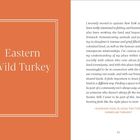 „Eastern Wild Turkey“ auf orangefarbenem Hintergrund. Text erzählt von ShanShan Chan, 25, über das Leben in New York.