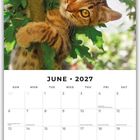 "June 2027" Kalenderblatt mit Foto einer Katze, die sich an einen Baum klammert und neugierig in die Kamera schaut.