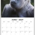 Juni 2027 Kalenderseite mit einem Foto eines Gorillas darüber, links Notiz- und Aufgabenbereich.