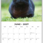 "JUNE 2027" oben, Kalendertage darunter. Ein schwarzer Katze sitzt majestätisch auf grünem Gras.