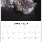 Kalenderseite Juni 2027. Flauschige graue Katze mit gelben Augen auf schwarzem Hintergrund.