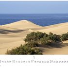 Text: "Maspalomas, 1, Casares Edition." Sanddünen mit Sträuchern, dahinter das Meer.