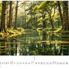 Zahlen von 1 bis 31, darunter "CASARES EDITION". Ein stiller Wald mit Bäumen reflektiert in einem ruhigen Fluss.