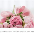 1–31 unten in der Mitte; "CASARES EDITION" links. Ein Strauß aus rosa Blumen.