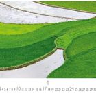Reisterrassen und Monatszahlen darunter; grüne Felder mit geschwungenen Wasserwegen, Vogelperspektive.