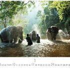Elefantenbad. Unten Kalenderdaten von 1 bis 31. Menschen waschen Elefanten im Wasser, Bäume im Hintergrund.