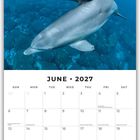 Juni 2027 Kalender. Zwei schwimmende Delfine in klarem, blauem Wasser. Feiertage und Platz für Notizen.