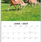JUNE 2027. Ein Kalender mit drei Haflingern auf grüner Wiese, umgeben von Bäumen und blauem Himmel.