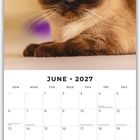 Juni 2027 Kalender mit Foto einer Siamkatze, blaue Augen, sitzt aufmerksam. Feiertage und Platz für Notizen unten.