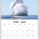 Juni 2027 Kalender mit springendem Wal im Meer darüber. Feiertage und Notizbereich sind vorhanden.