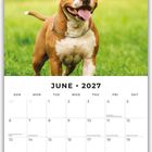 Kalenderseite für Juni 2027. Bild: Ein glücklicher Hund läuft auf einer grünen Wiese.