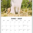 Kalenderseite für Juni 2027 mit einem freundlichen Hund in einer blühenden Wiese.