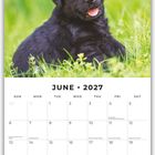 Oben "June 2027". Ein schwarzer Welpe sitzt im grünen Gras und schaut freundlich. Darunter ein Monatskalender.