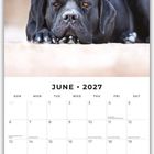 "June 2027" steht über einem Kalender. Oben liegt ein großer schwarzer Hund mit freundlichen Augen auf hellem Boden.