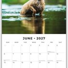 "JUNE 2027" steht über einem Monatskalender. Oben sitzt ein nasser Hund in einem ruhigen Gewässer.