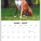 Juni 2027 Kalender mit Bild eines sitzenden Boxers auf grünem Gras, im Hintergrund unscharfe Bäume.