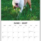 Juni 2027 Kalender mit Feiertagen. Ein Bullterrier läuft auf grünem Gras und schaut direkt nach vorne.