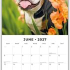 Kalenderblatt Juni 2027. Oben ein fröhlicher Bulldogge-Hund zwischen orangefarbenen Blumen, umgeben von grünem Blattwerk.