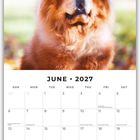 Juni 2027. Kalender mit einem Bild eines flauschigen, rotbraunen Hundes im Freien.