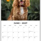 Kalenderseite Juni 2027 mit Hund vor gelben Blumen; Woche beginnt sonntags; Platz für Notizen.